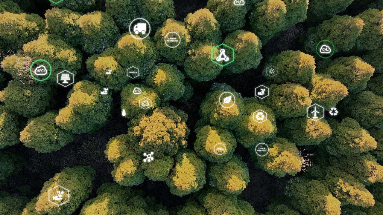  Aerial forest view with data icons over it