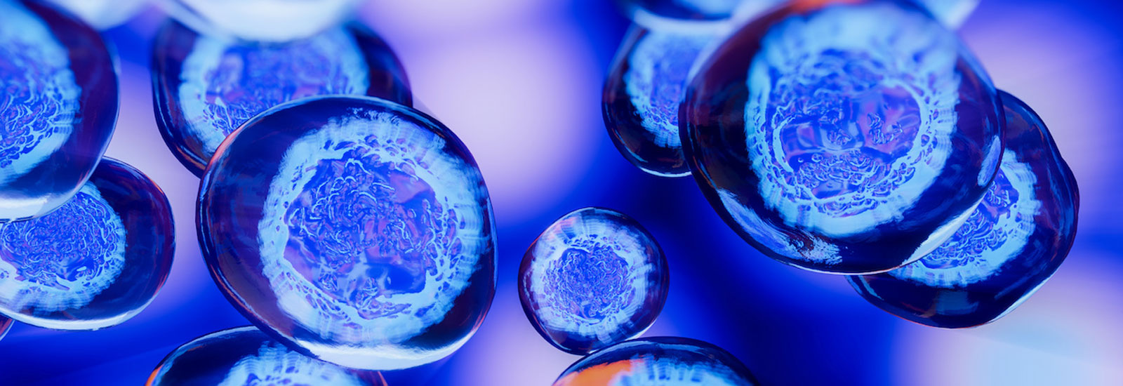 close-up of microscopic cells