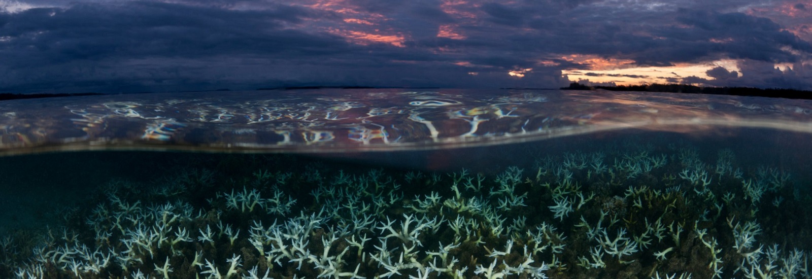 ocean-warming-accelerating.jpg