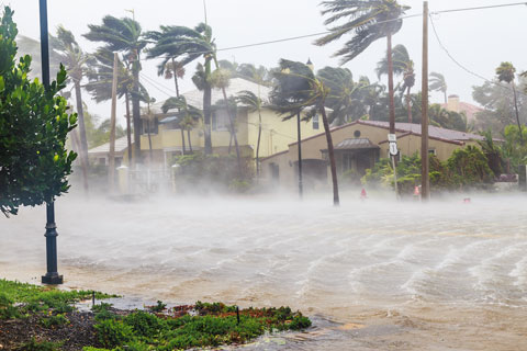 Hurricane winds in a neighborhood