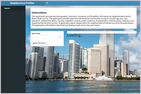 Preview of Neighborhood Profiles web page