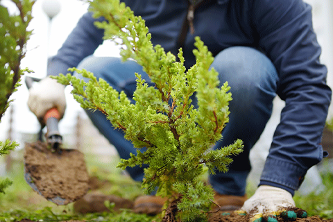 Green Neighborhoods and Lower Stroke Risk