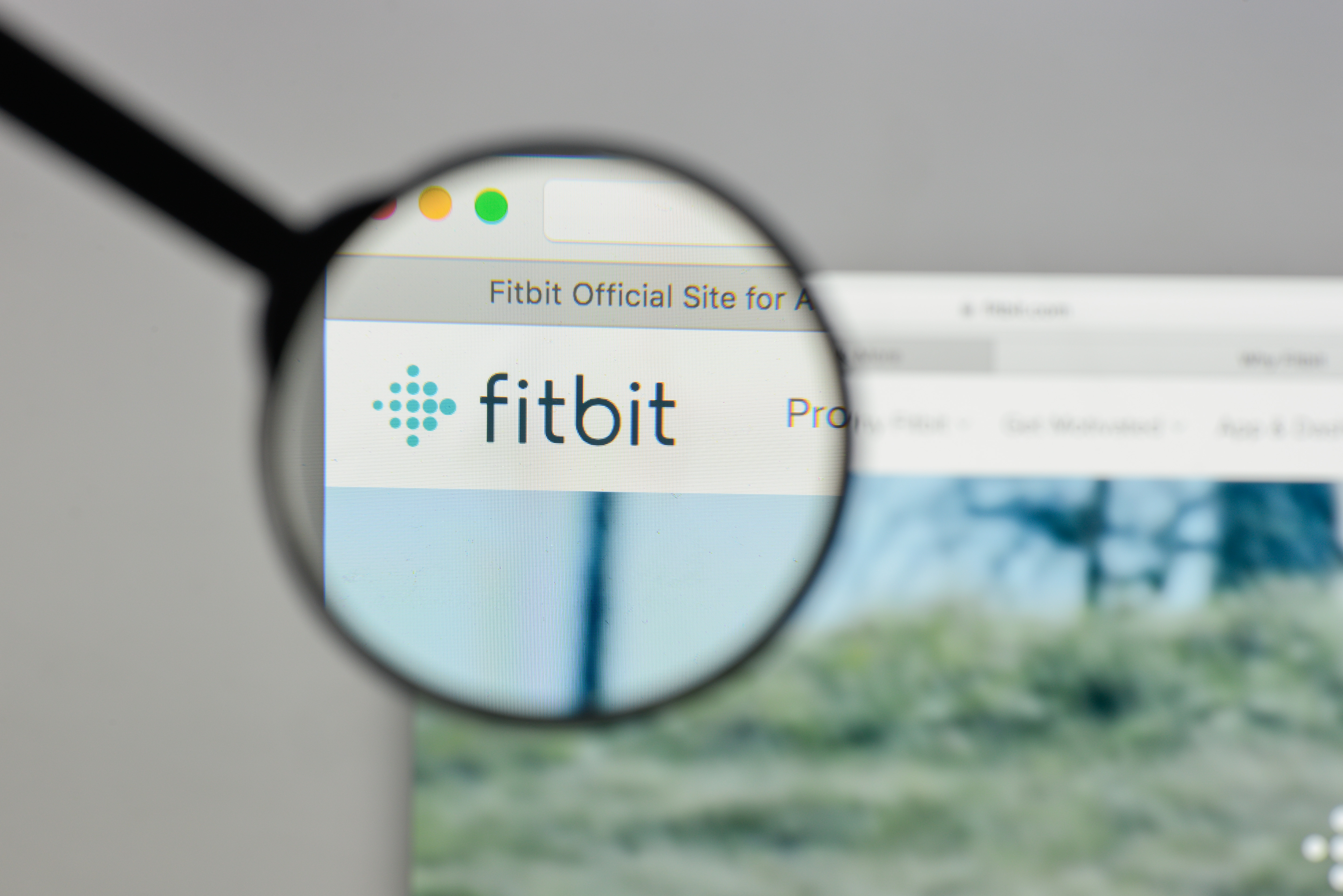 Fitbit Devices