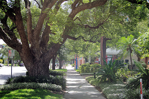 More Green Spaces Can Help Boost Air Quality, Reduce Heart Disease Deaths