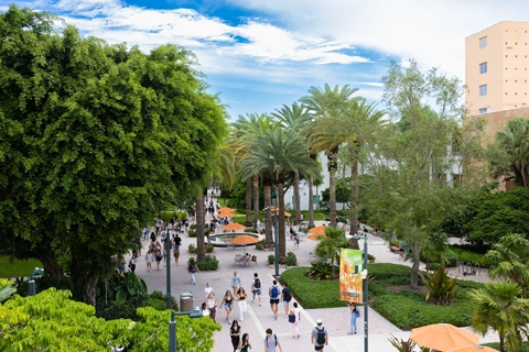 Outdoor view of UM Coral Gables Campus