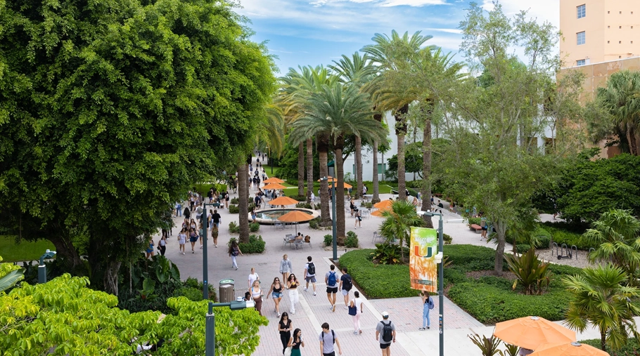 Outdoor view of UM Coral Gables Campus
