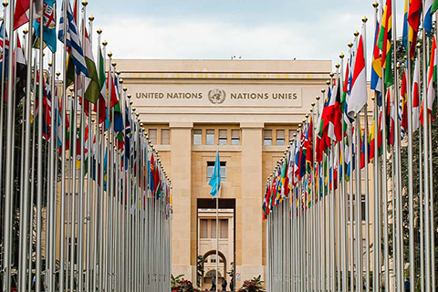 United Nations